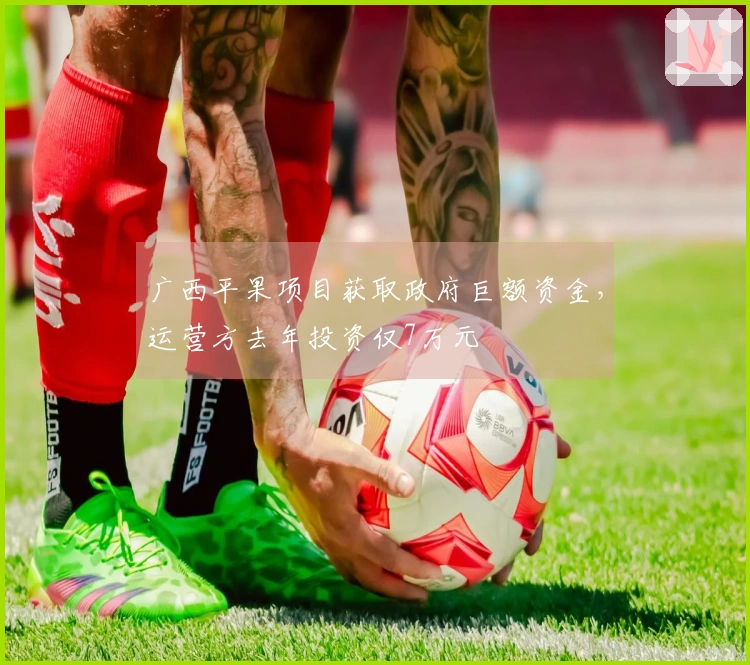 广西平果项目获取政府巨额资金，运营方去年投资仅7万元