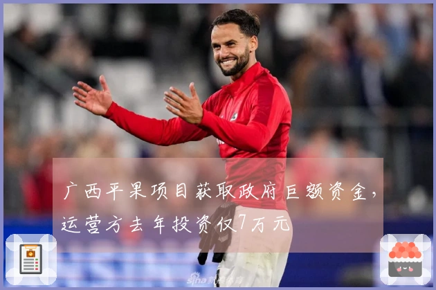 广西平果项目获取政府巨额资金，运营方去年投资仅7万元