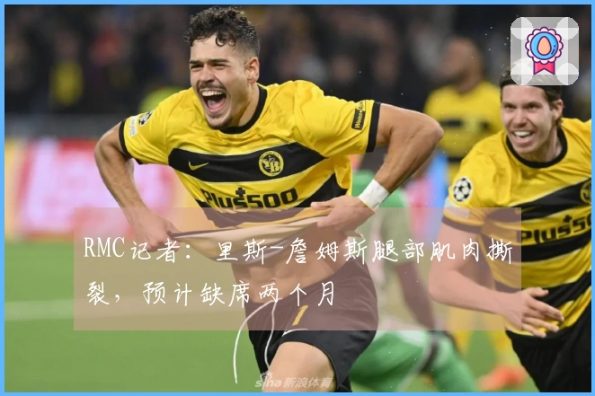 RMC记者：里斯-詹姆斯腿部肌肉撕裂，预计缺席两个月